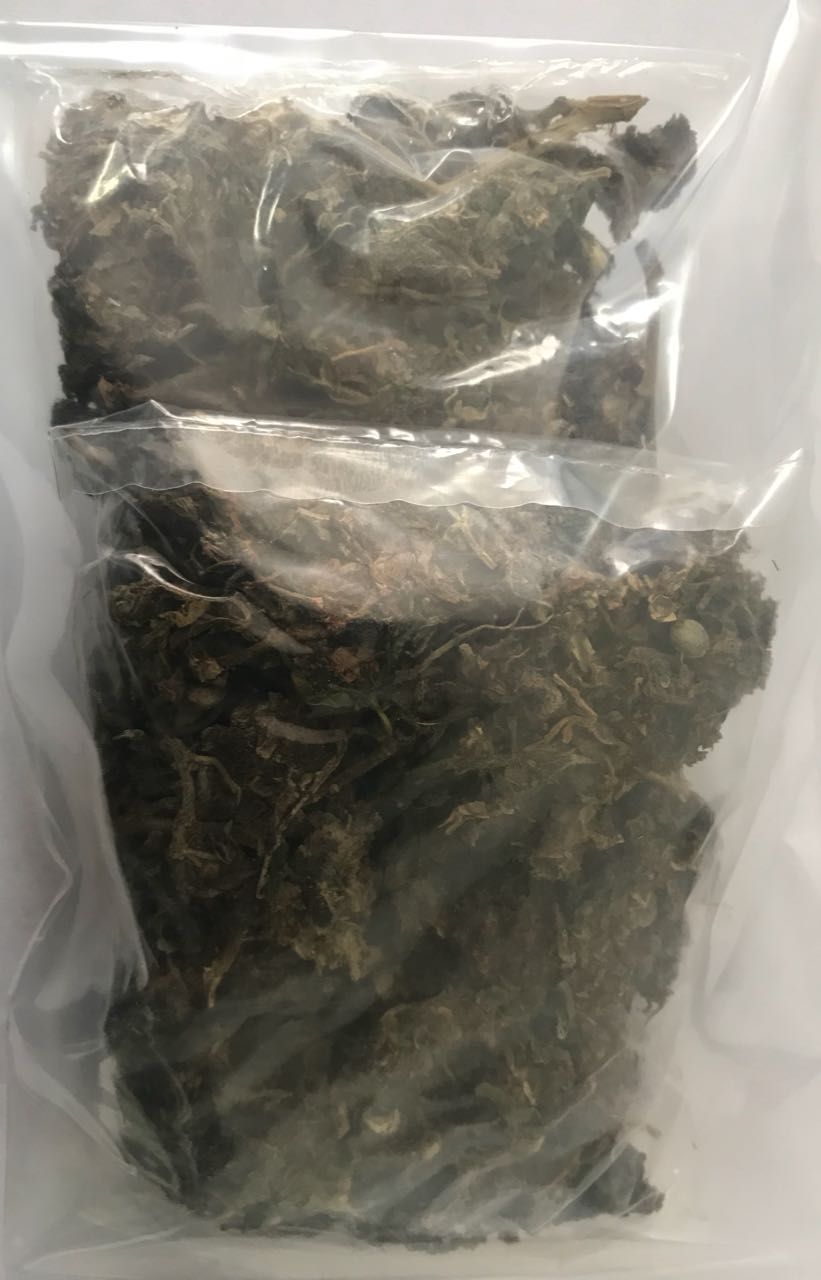 Aseguran a un hombre con narcóticos en Xicohtzinco